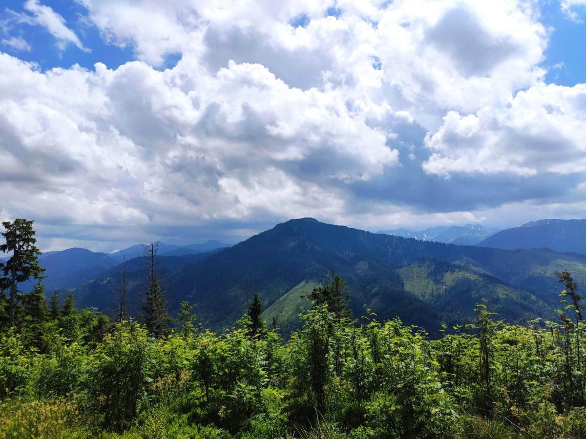 Western Tatras Slovakia Oravsky Biely Potok Экстерьер фото